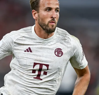 并非单指一 并非单指一