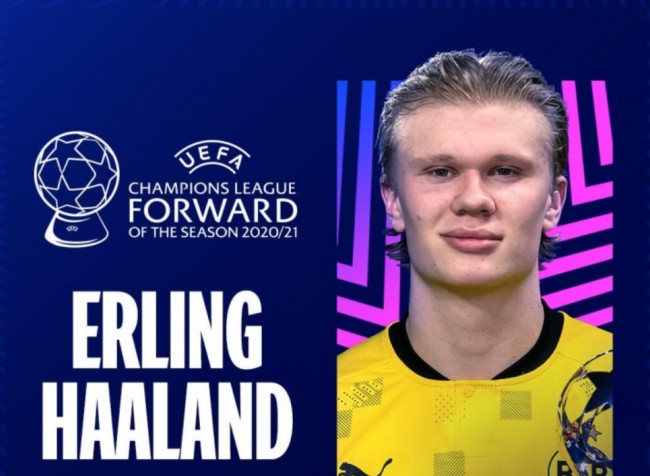 这回不想去 这回不想去